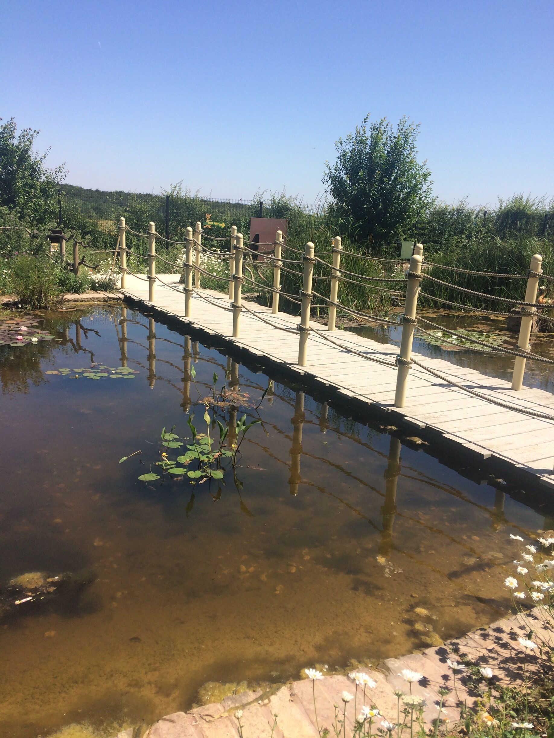 An adventure out to Yorkshire Butterfly House on a warm Summers day 