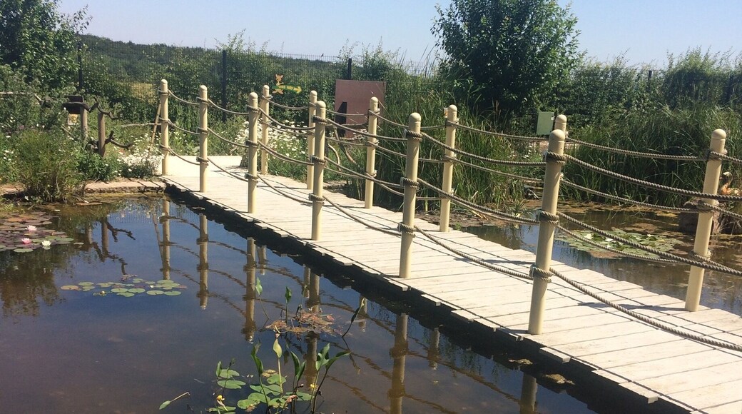 An adventure out to Yorkshire Butterfly House on a warm Summers day