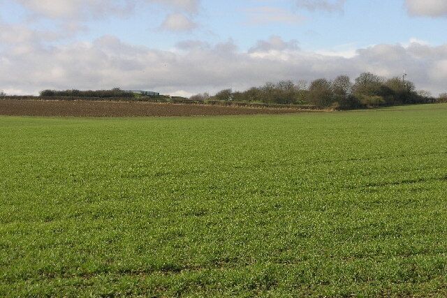 Fields and Water. The building to the left of the horizon is an underground water reservoir.