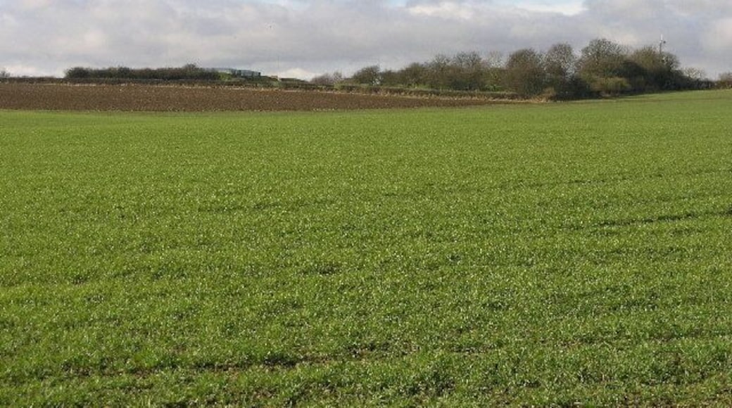 Fields and Water. The building to the left of the horizon is an underground water reservoir.