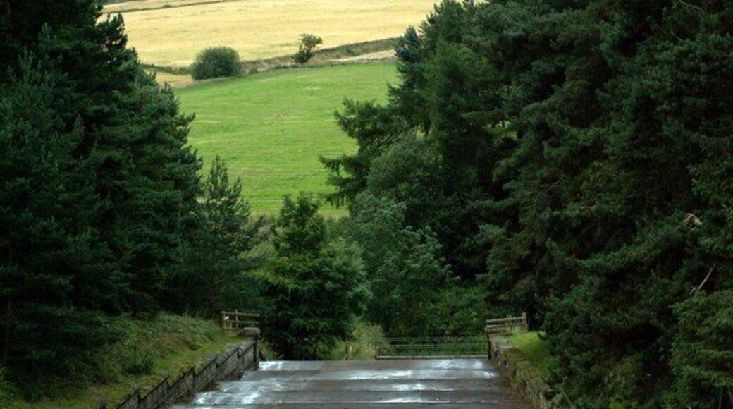 Scout Dike Reservoir Spillway