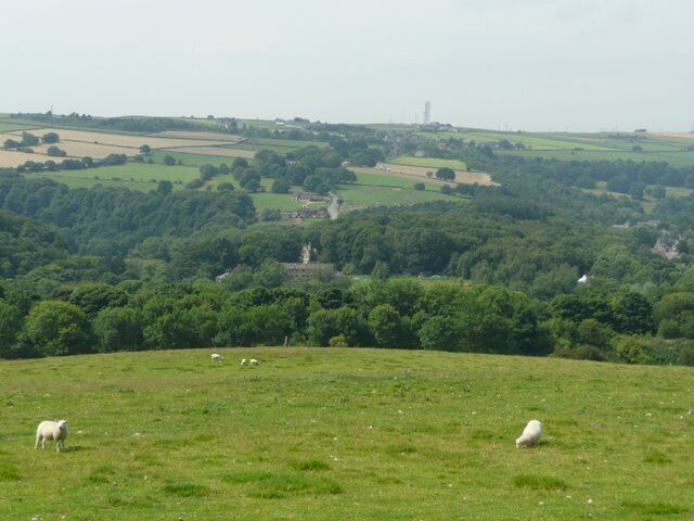 Crossing the sheep field - view to Greenmoor The River Don flows along the valley bottom. This is a rather foreshortened image because of the effect of the telephoto lens. The road across the valley goes to Green Moor and then drops down towards the Stocksbridge bypass.