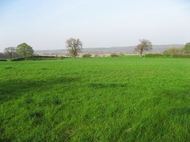 Field by Elliot Lane View across the fields to Burncross from Elliot Lane
