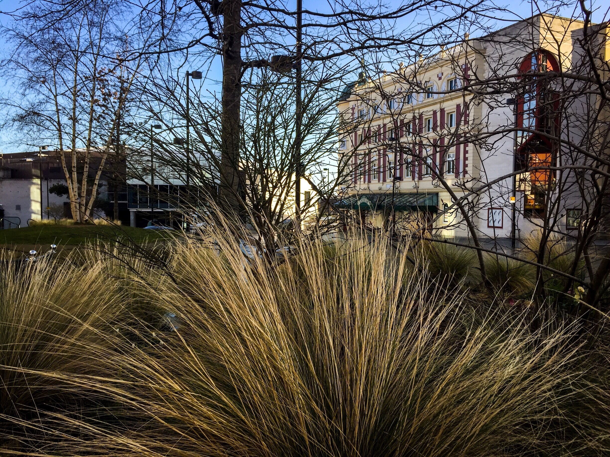 Tudor Square in the heart of Sheffield. Little oasis especially in the summer! #urbanjungle