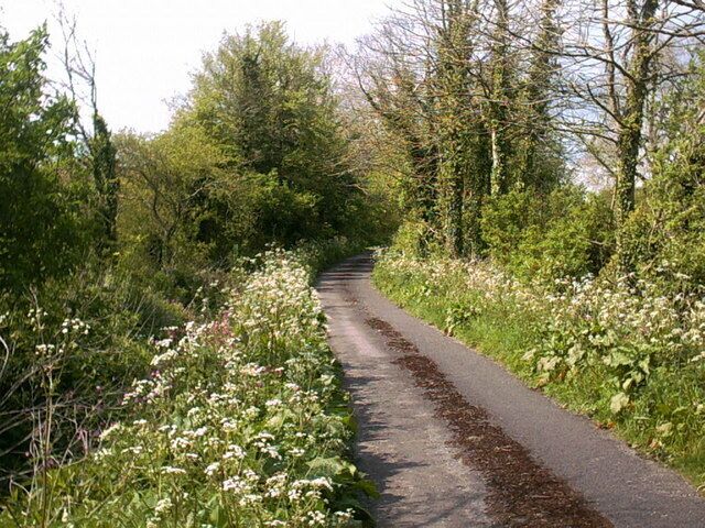 Near Charlton Horethorne