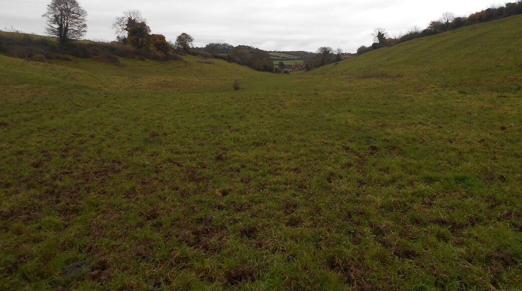 The Cleeve, a coombe near Charlton Horethorne, Somerset.