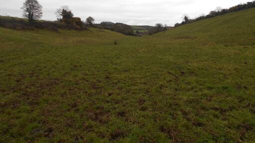 The Cleeve, a coombe near Charlton Horethorne, Somerset.