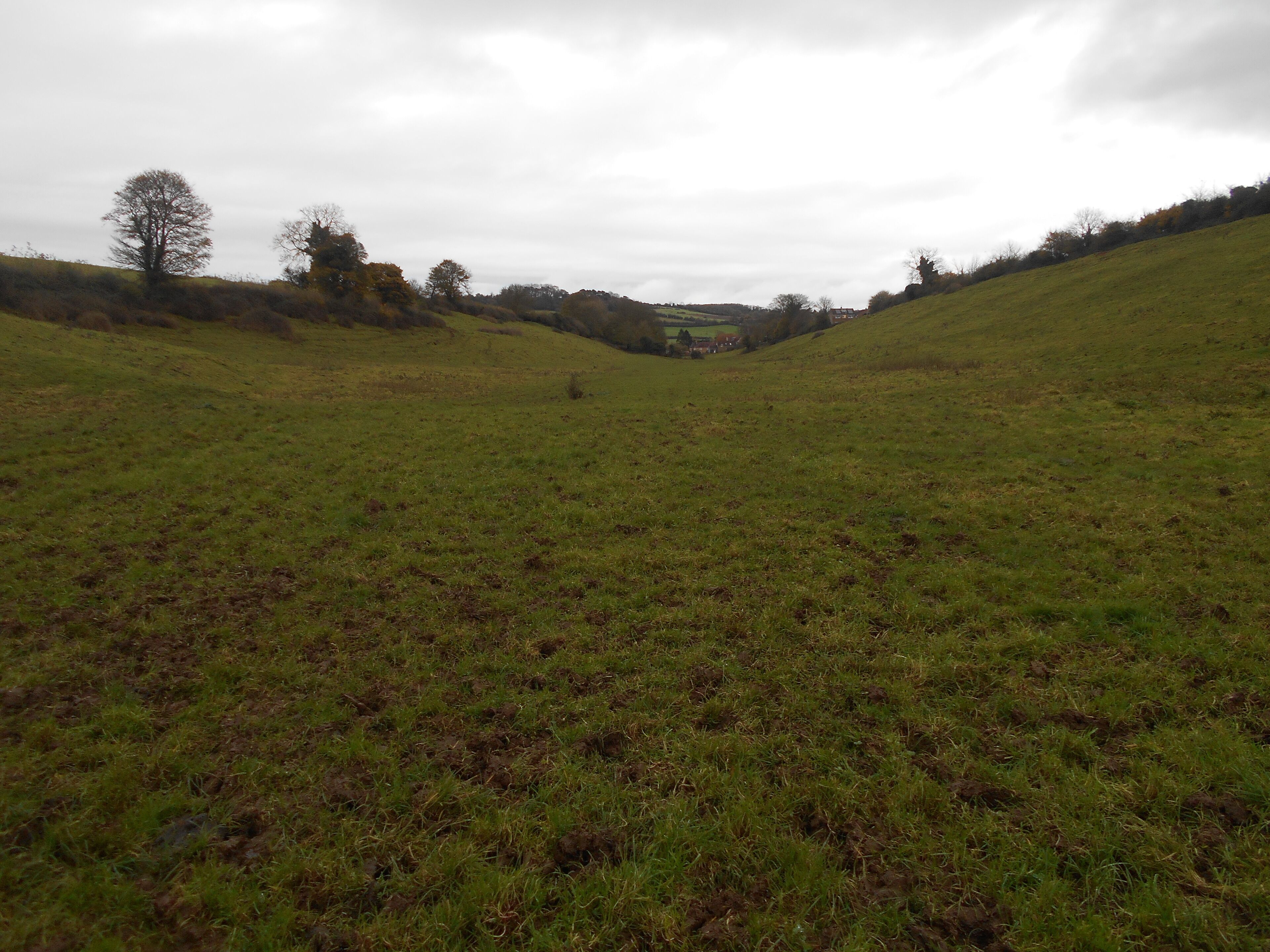 A grassy valley with a small house in the distance.