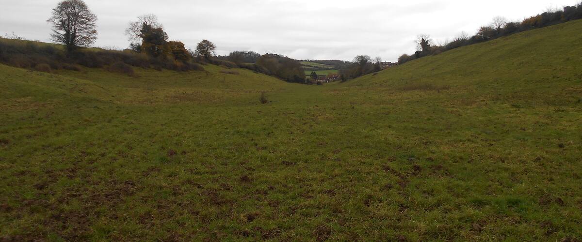 A grassy valley with a small house in the distance.