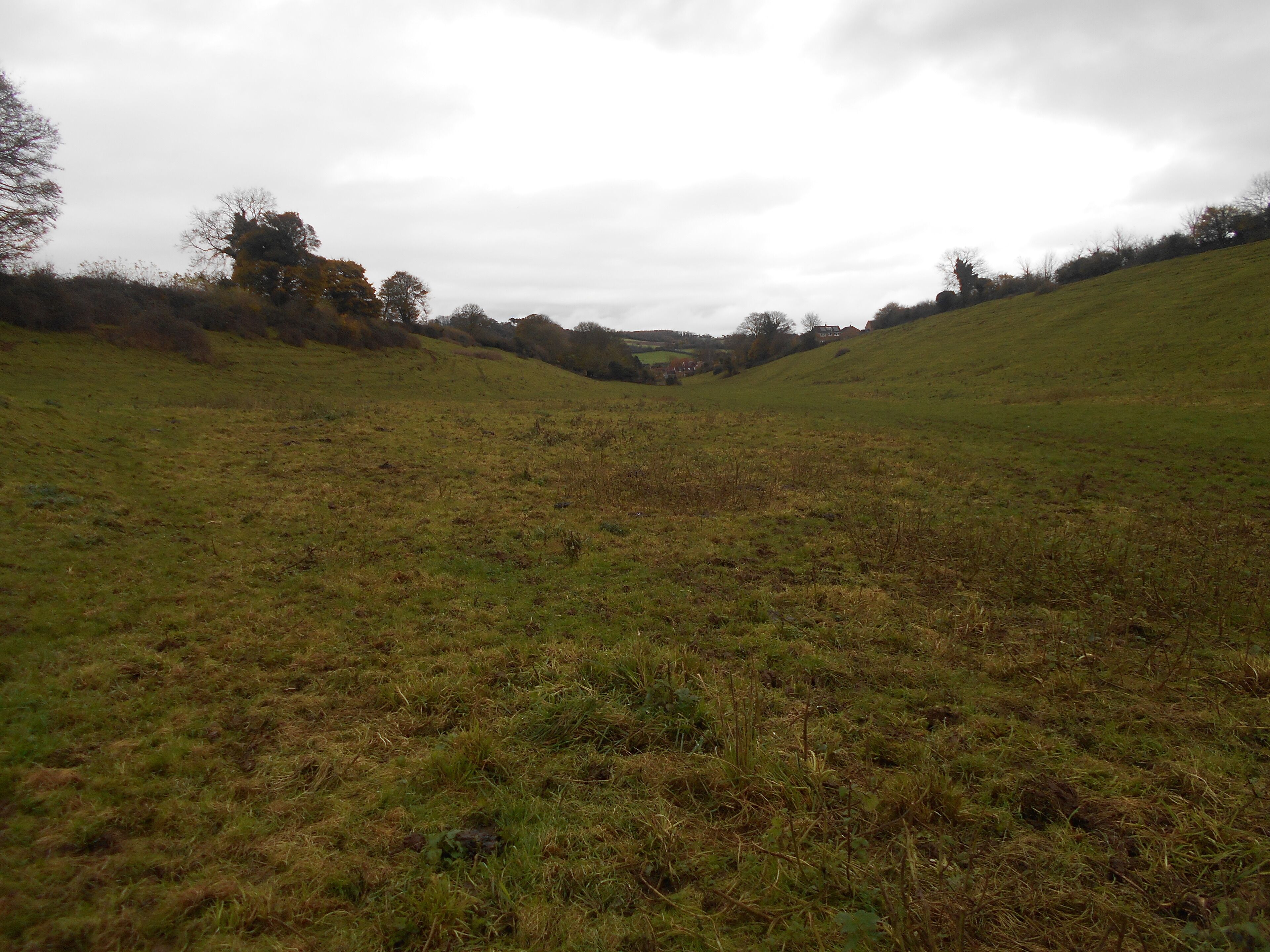The Cleeve, a coombe near Charlton Horethorne, Somerset.