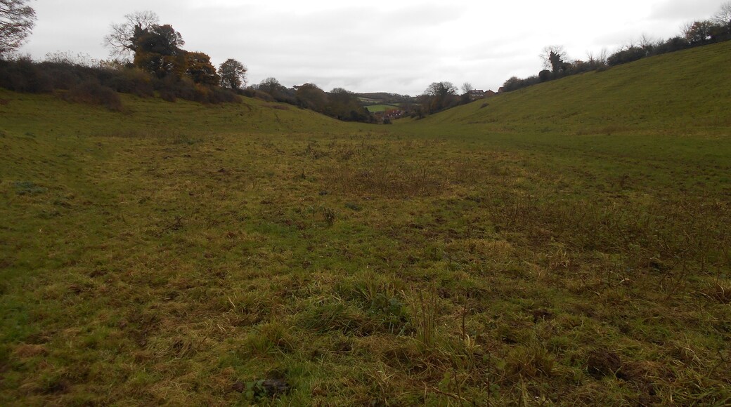 The Cleeve, a coombe near Charlton Horethorne, Somerset.