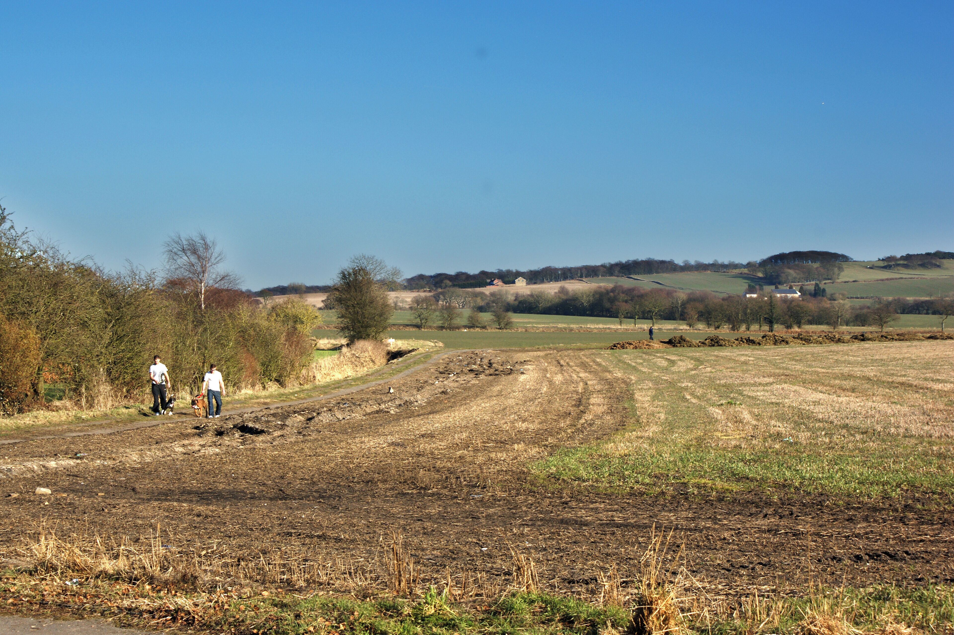 Footpath towards Strawberry Cottages