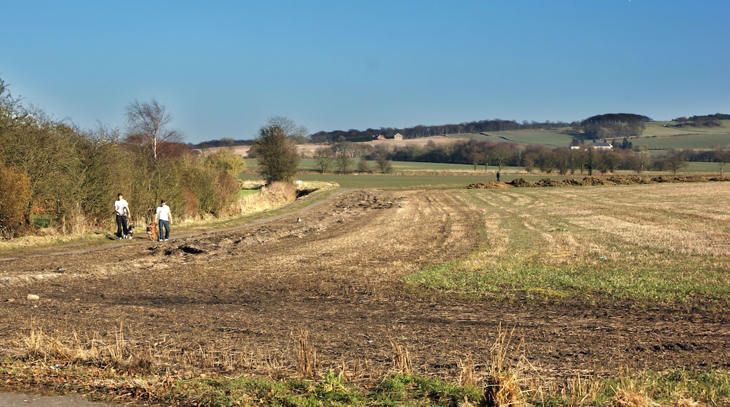 Footpath towards Strawberry Cottages