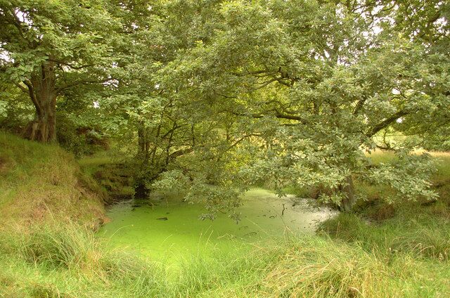 Small pond near Dalton Lees