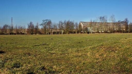 A pitch invasion By moles!