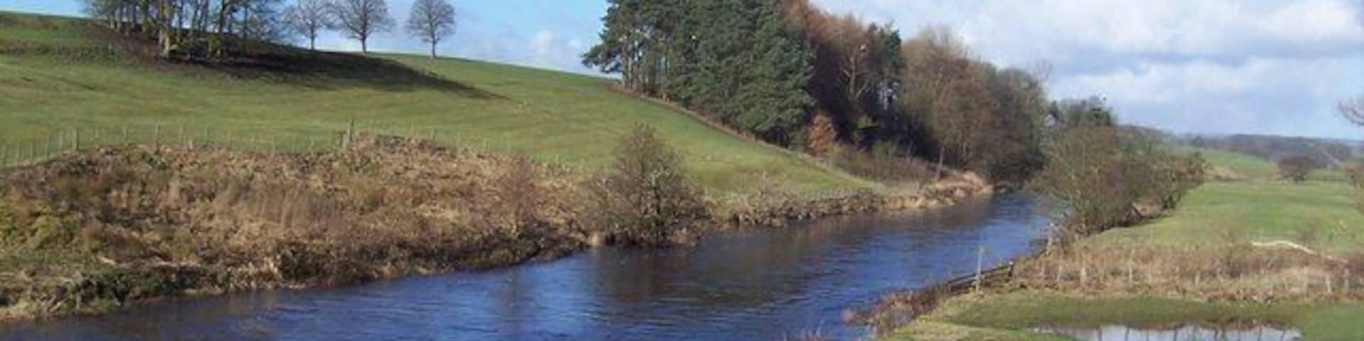 River Ribble and Old Close Plantation. This looks upstream from Halton Bridge, in a westerly direction