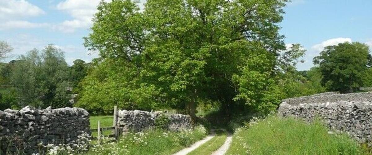 Bridleway south of Cracoe This is the quiet way from Cracoe to Rylstone.