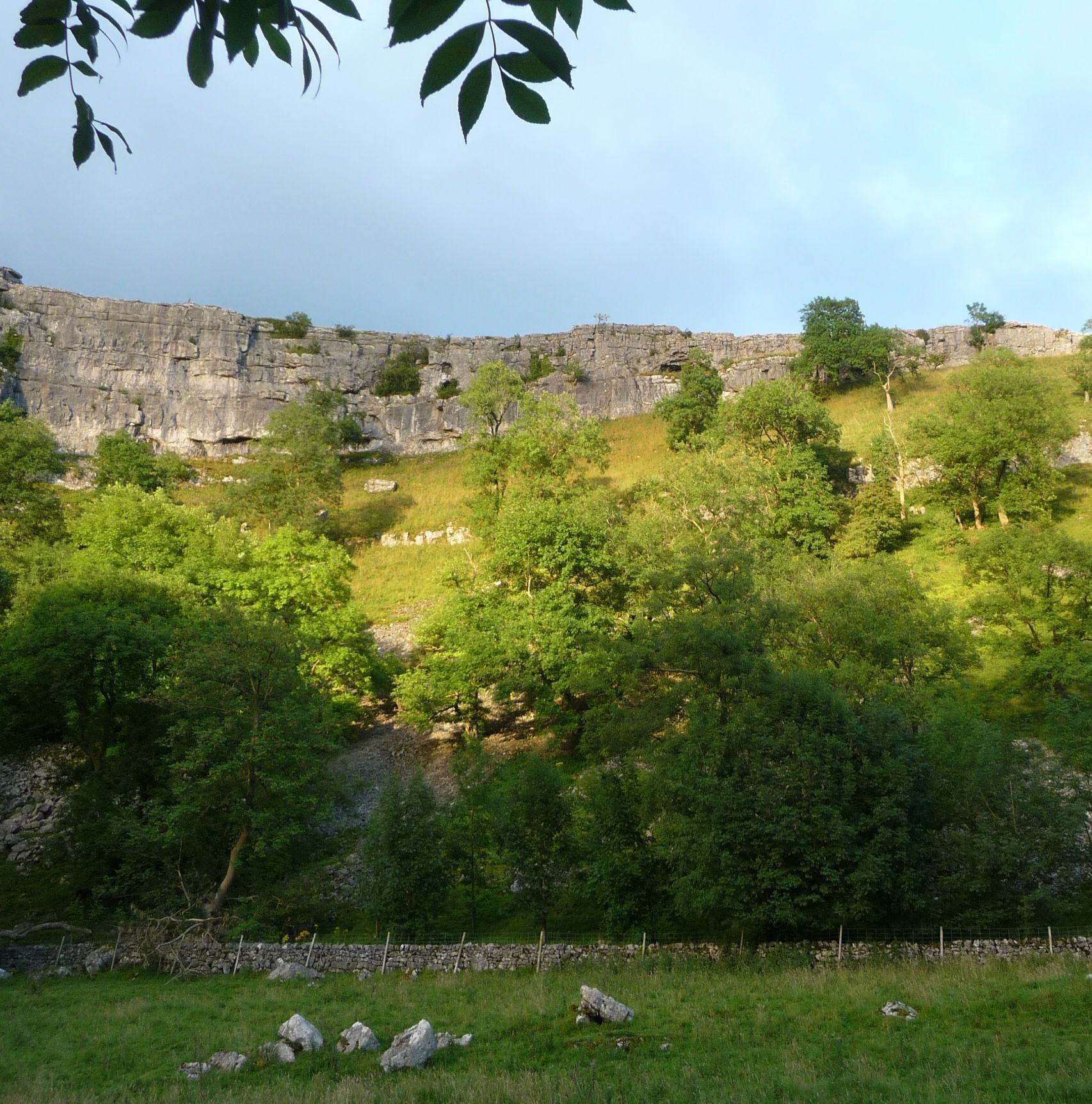 A rocky cliff with sparse vegetation and a stone wall in the foreground.