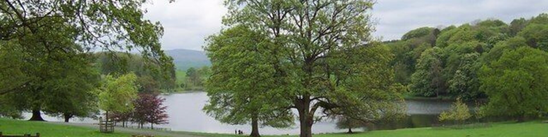 A park with a lake, a paved path, and trees.