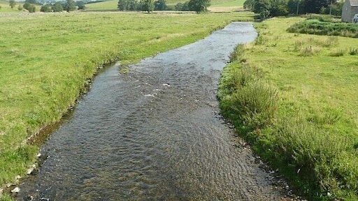 The River Aire at Bell Busk, Coniston Cold CP Looking upstream from the bridge.
