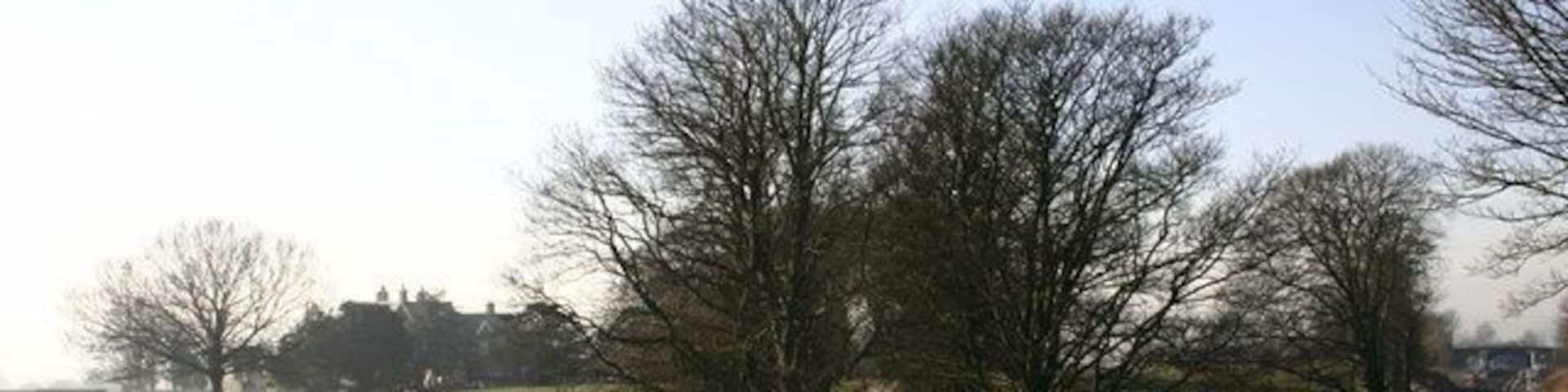 Long Preston Driveway to Riversdale