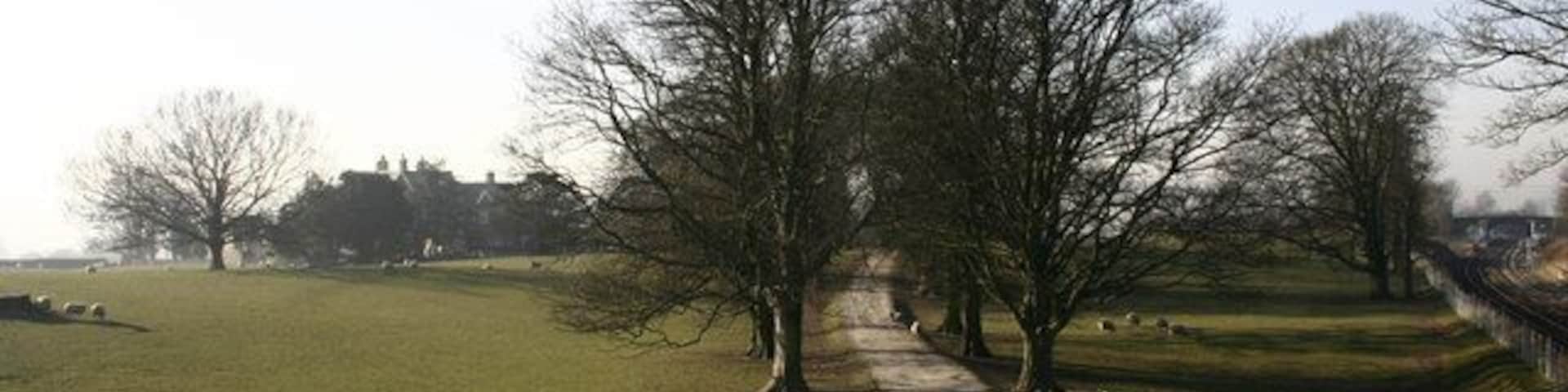 Long Preston Driveway to Riversdale