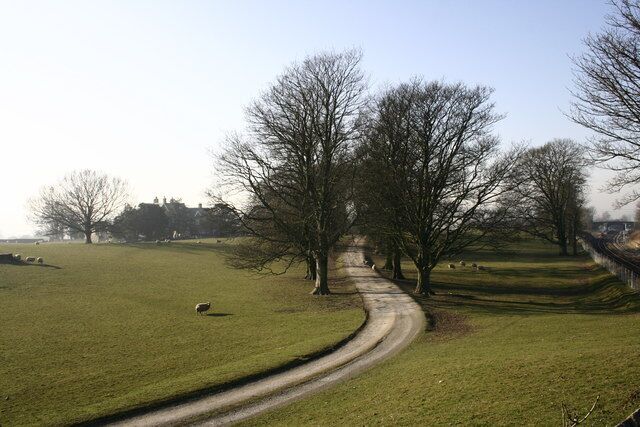 A rural landscape with a winding path, leafless trees, and a distant building.