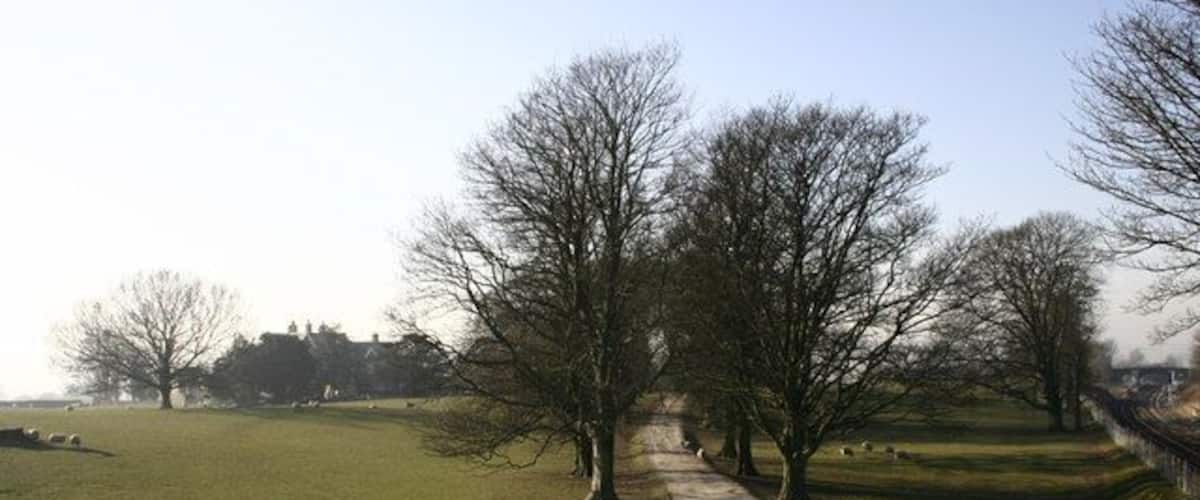 A rural landscape with a winding path, leafless trees, and a distant building.