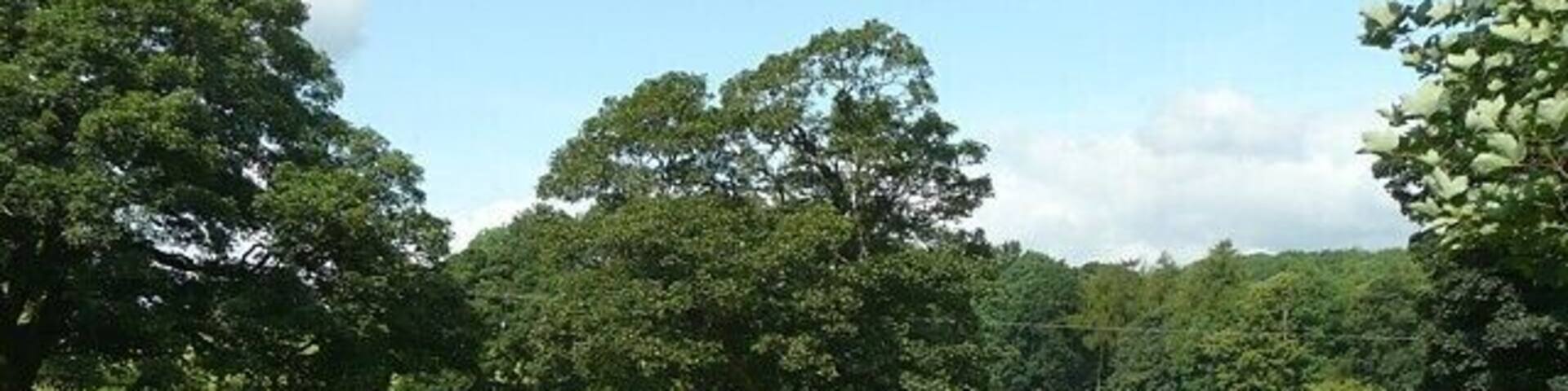 Rear gate of St Peter's Churchyard, Coniston Cold. This is part of a set of memorial gates - see 1437107. The flagged path leads to a public footpath from Gill Syke southwards to the main road.