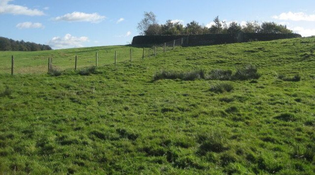 Pikeber Hill Strange hillock with an enclosure on top that looked if it was once tended with care, but now fallen to the ravages of nature.