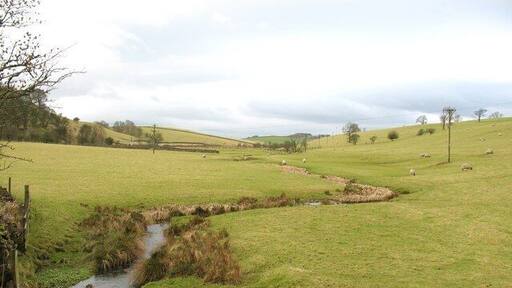 Lillands Beck Tiny beck heading eastwards towards the Wharfe near Bolton Bridge. The beck has four different names along its short course.