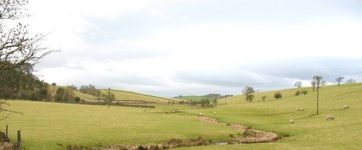 A rural landscape with a stream, green fields, and scattered trees.