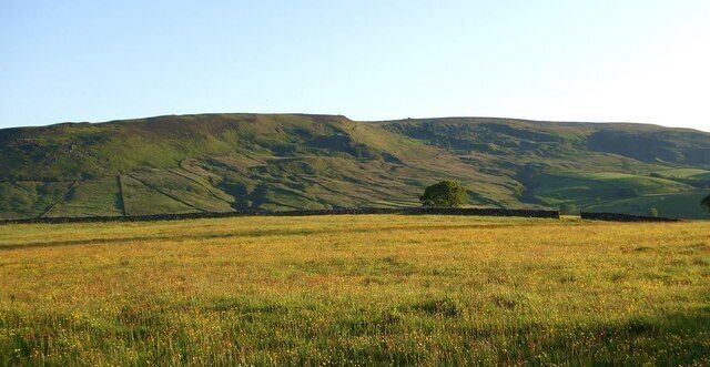Upland pastures, summer evening Hillside pasture above Burnsall, looking across the dale towards Burnsall Fell, where the low sunlight picks out the uneven ground on the steep northern slopes of the fellside. This appears to be an example of unstable slopes created at the end of the last ice age resulting in several minor landslips in the 12000 or so years since.