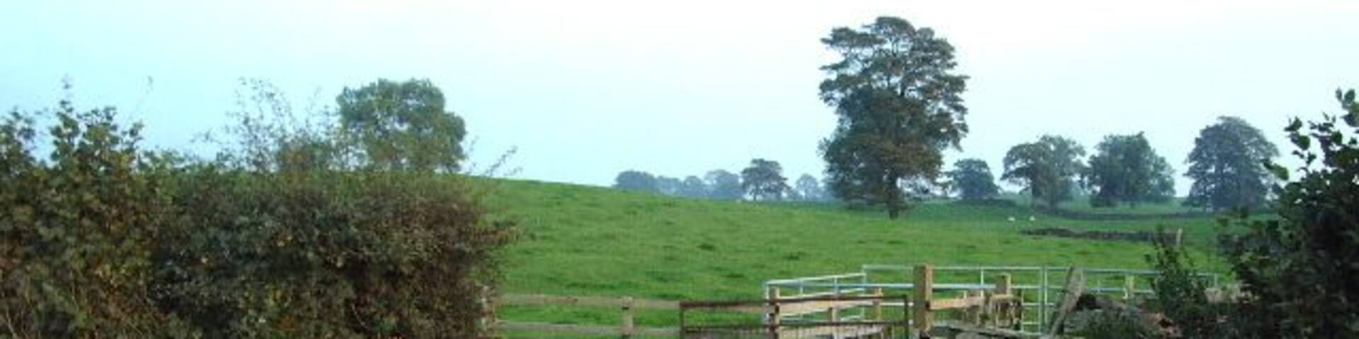 Gate leading to some sheep pens