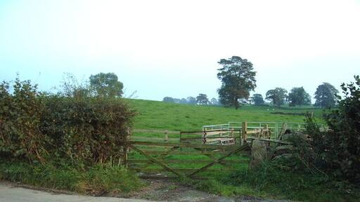 Gate leading to some sheep pens