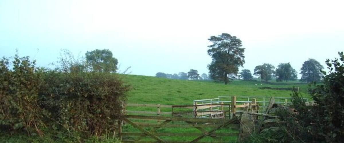 A rural road with a wooden gate leading to a fenced field.