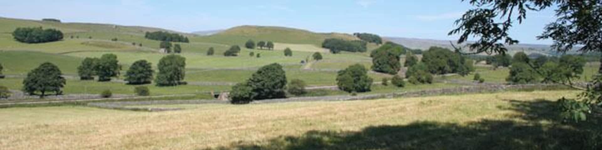 Farmland and fells in the Yorkshire Dales National Park. The Swinden Quarry mineral railway can be seen running across the centre of the picture. The bridge in the middle crosses Fleets Lane, a track leading to Fleets House in SD9660. The building that can just be made out behind the trees a little to the right is New Laithe and Swinden Lane can be seen climbing towards Linton Moor.