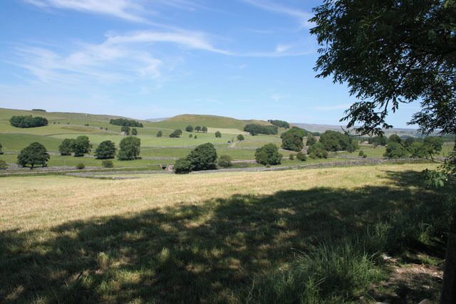 Rolling hills, scattered trees, and a clear sky.