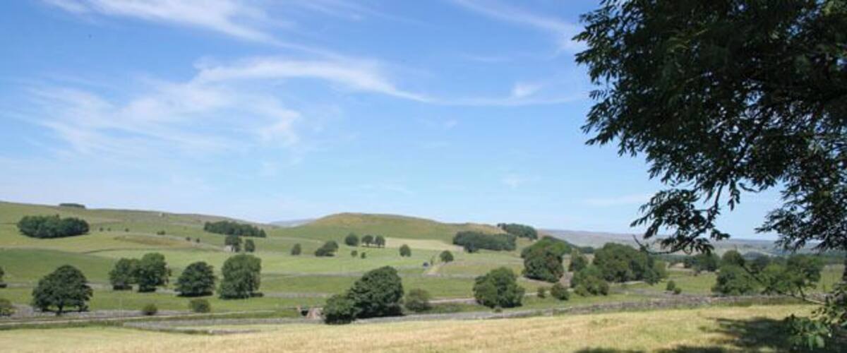 Rolling hills, scattered trees, and a clear sky.