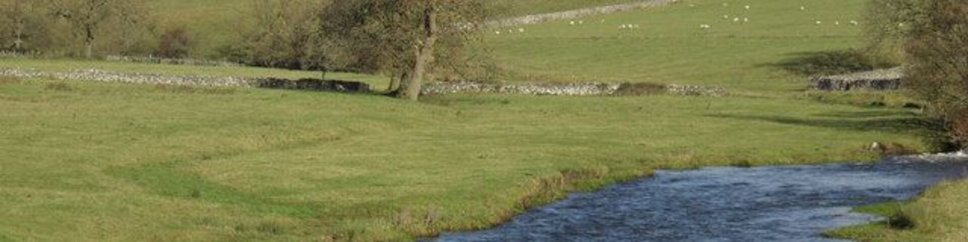River Aire at Bell Busk. There was a lot of water in the river today.