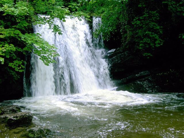 A waterfall surrounded by lush green foliage.