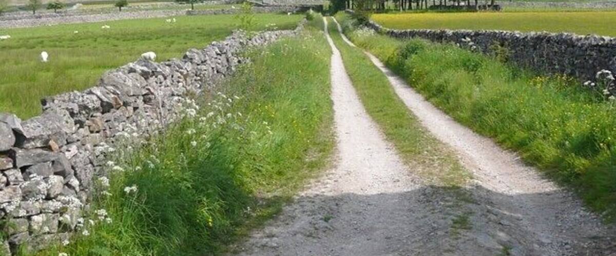 Field access track, Cracoe Not a right of way, nor a driveway to a farm, but a track to give access to fields beyond the copse.