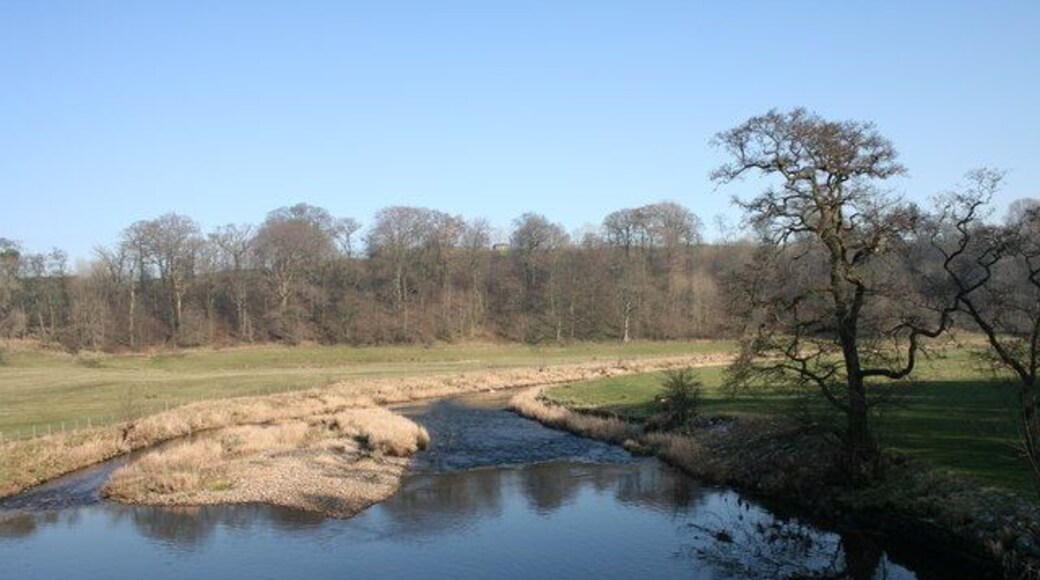 River Ribble Looking down stream from Halton Bridge