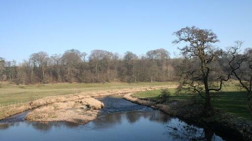 River Ribble Looking down stream from Halton Bridge