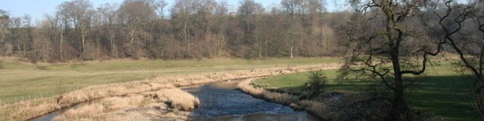River Ribble Looking down stream from Halton Bridge