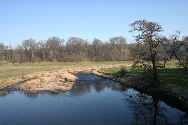 A river meandering through a grassy field with trees in the background.