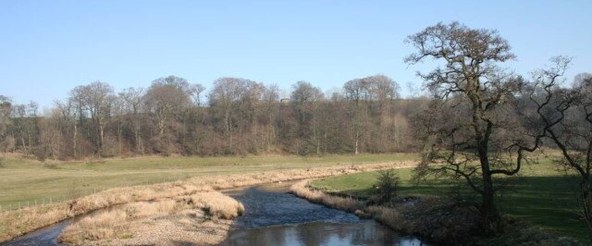 A river meandering through a grassy field with trees in the background.