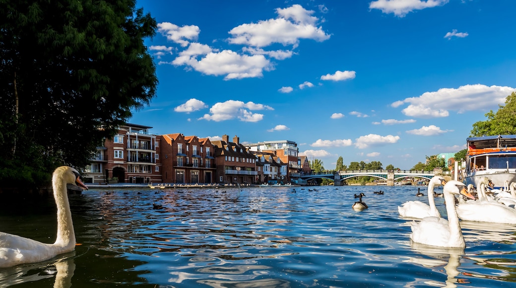 Slough