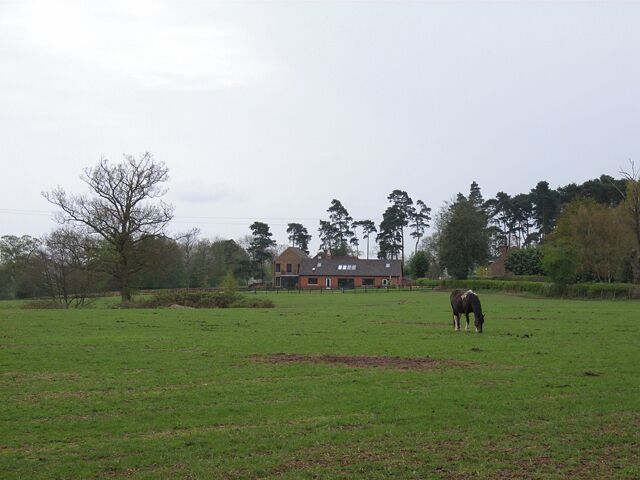Rickman's Hill. The name seems to vary between 'Rick' and 'Rich'. This is the view from Rickman's Lane, the bridleway on the edge of Brockhurst Wood.