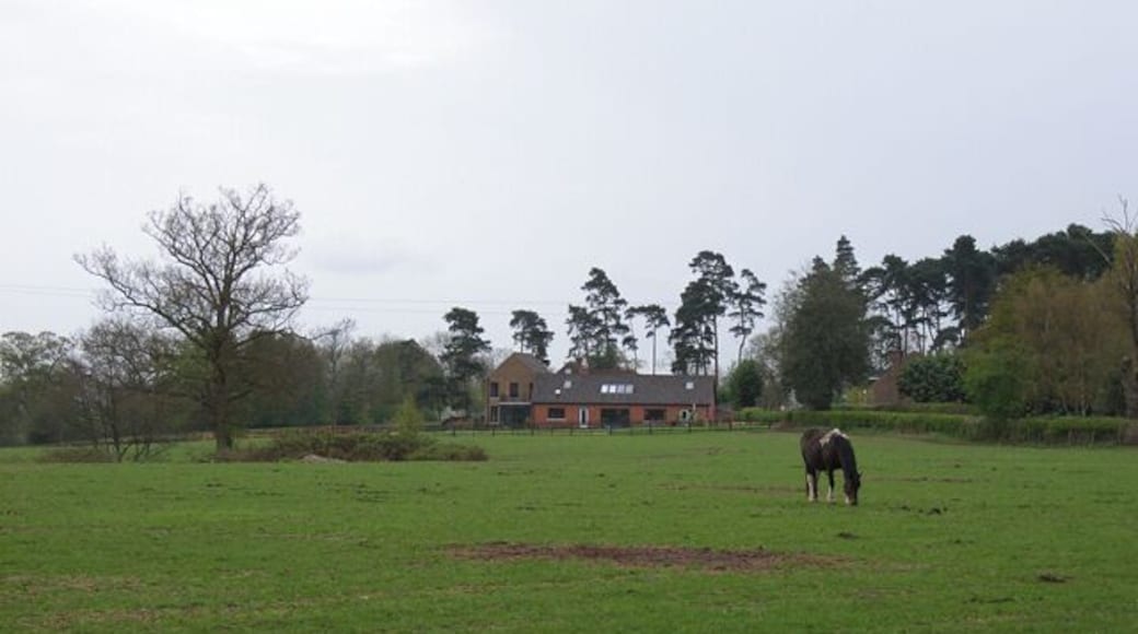 Rickman's Hill. The name seems to vary between 'Rick' and 'Rich'. This is the view from Rickman's Lane, the bridleway on the edge of Brockhurst Wood.